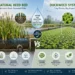 Green to Filter: The Fact-Checked Truth Behind Natural Reed Bed & Duckweed Water Systems